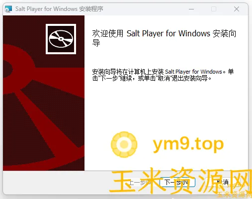 Salt Player for Windows体验版-玉米资源站